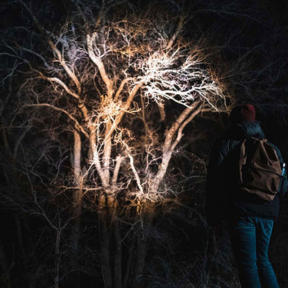 V5H1283CD6DB6F34A903201B93BEBC5AF94R4107356P5